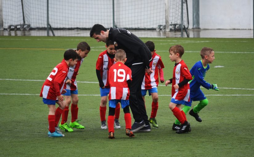 The Mathematics of Sport: The Hidden Numbers Behind the Game